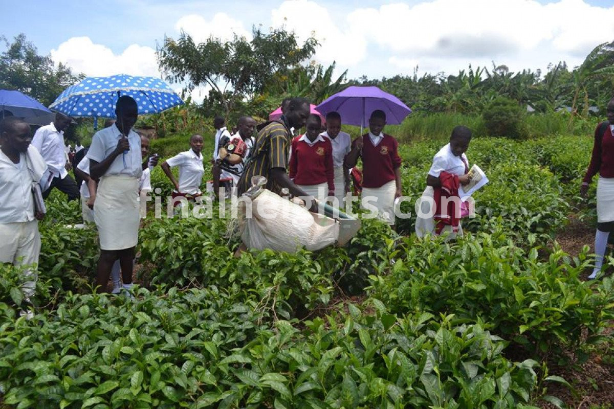 Agriculture and practical learning