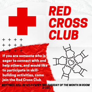 Students participating in Interact Club activities