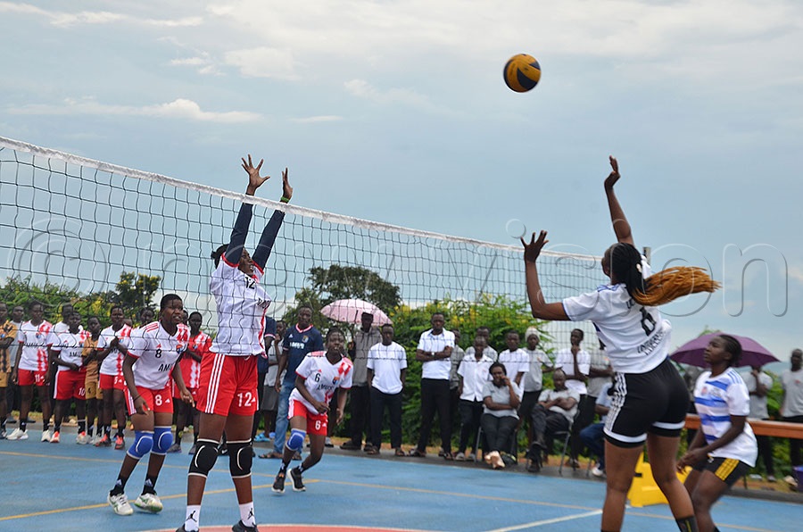 Students in clubs activities