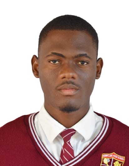 Banzale Winner Matenzi